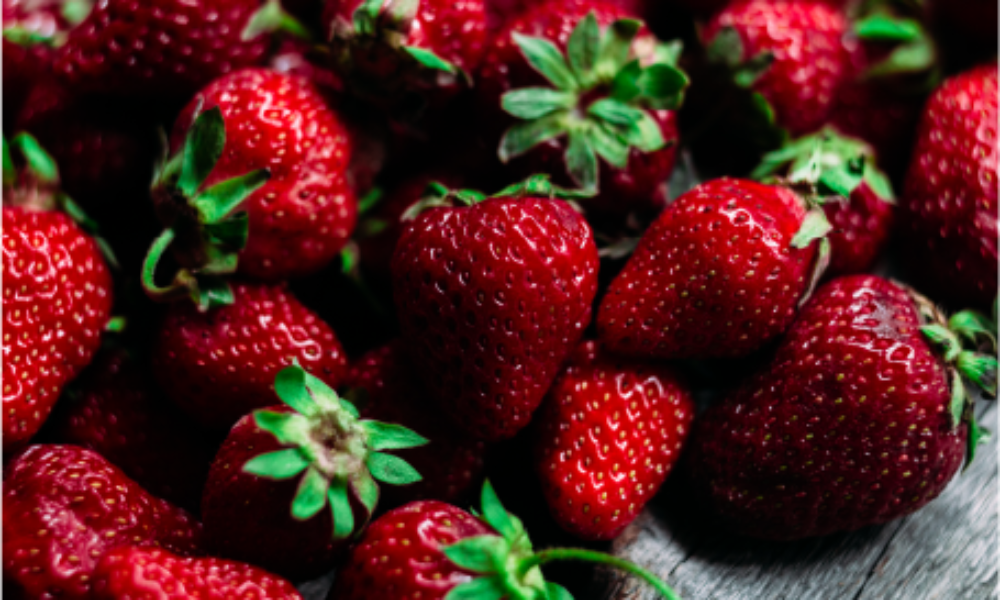 Serre-besson-degustation-vinsibre-2019-fraise-strawberries
